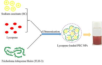 Biocompatible Polyelectrolyte Complex Nanoparticles for Lycopene Encapsulation Attenuate Oxidative Stress-Induced Cell Damage